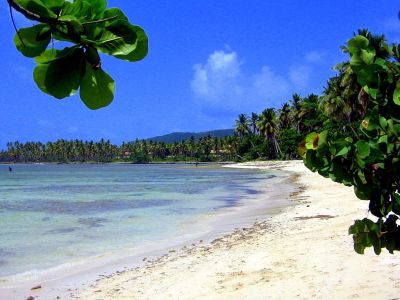 Playa Grande Las Galeras Samaná